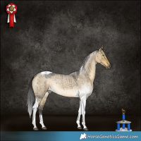 Horse Color:Buckskin Roan Dun Tobiano Rabicano Brindle