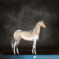 Horse Color:Buckskin Roan Dun Tobiano Rabicano Brindle 