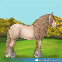 Horse Color:Gold Champagne Pearl Rabicano  and Gold Champagne Pearl Rabicano 