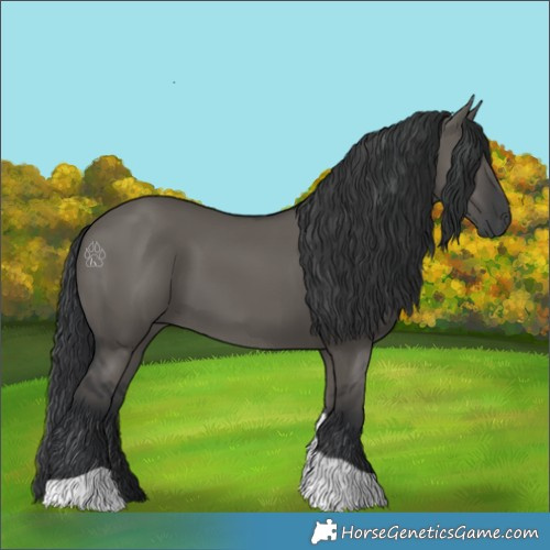 Horse Color:Grullo Tobiano