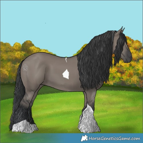 Horse Color:Grullo Tobiano