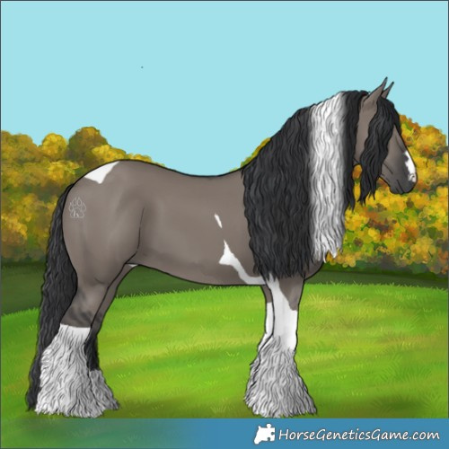 Horse Color:Grullo Tobiano