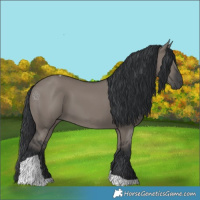 Horse Color:Grullo Tobiano
