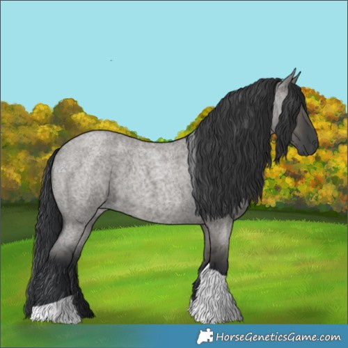 Horse Color:Grullo Roan Tobiano