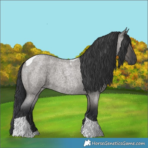 Horse Color:Grullo Roan Tobiano