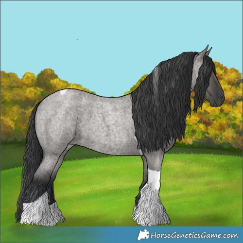 Horse Color:Grullo Roan Tobiano