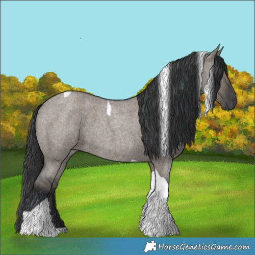 Horse Color:Grullo Roan Tobiano 