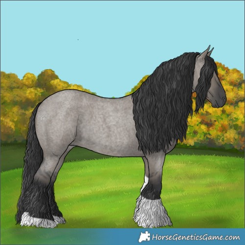 Horse Color:Grullo Roan Tobiano