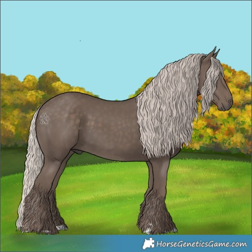 Horse Color:Silver Black