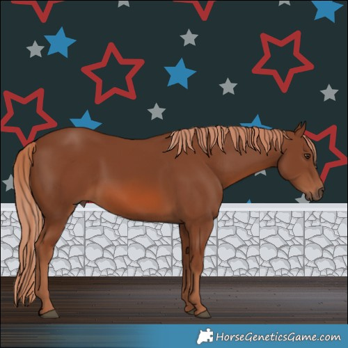 Horse Color:Chestnut 