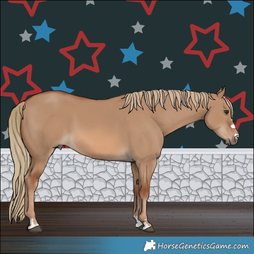 Horse Color:Red Dun 