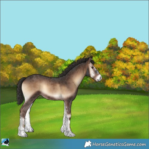 Horse Color:Liver Red Onyx Sabino 