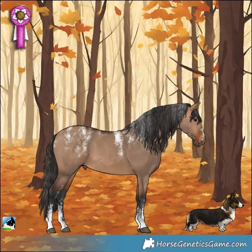 Horse Color:Powder White Bay Dun 