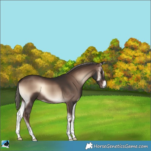 Horse Color:Liver Red Onyx Mushroom 