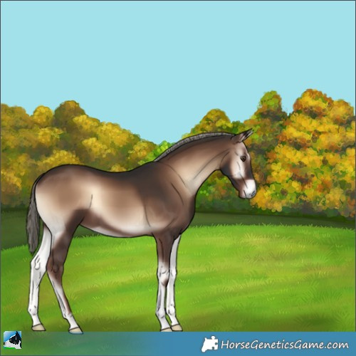 Horse Color:Liver Red Onyx Mushroom 