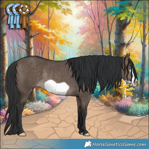 Horse Color:Brown Dun Frame Rabicano 