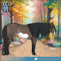 Horse Color:Brown Dun Frame Rabicano