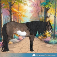 Horse Color:Brown Dun Frame Rabicano