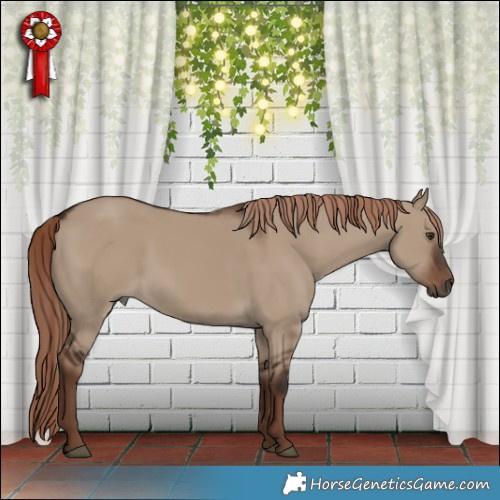 Horse Color:Liver Red Dun Rabicano 