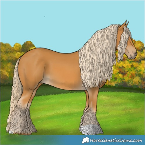 Horse Color:Palomino 