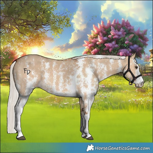 Horse Color:Silver Bay Dun Sabino