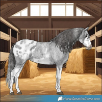 Horse Color:White Spotted Blue Roan Splash Frame Blanket