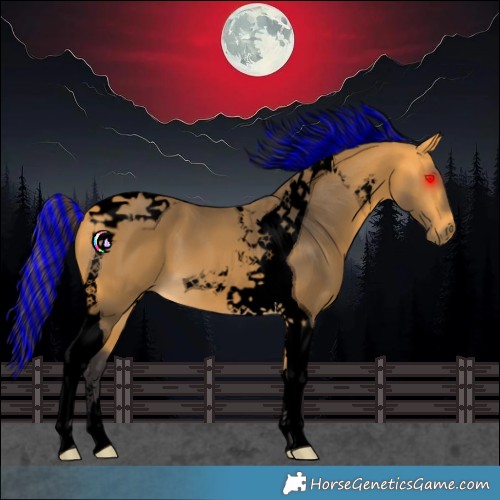 Horse Color:Void Painted Buckskin Tobiano 