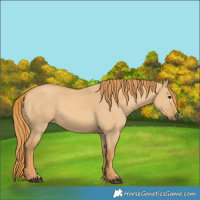 Horse Color:Red Dun 