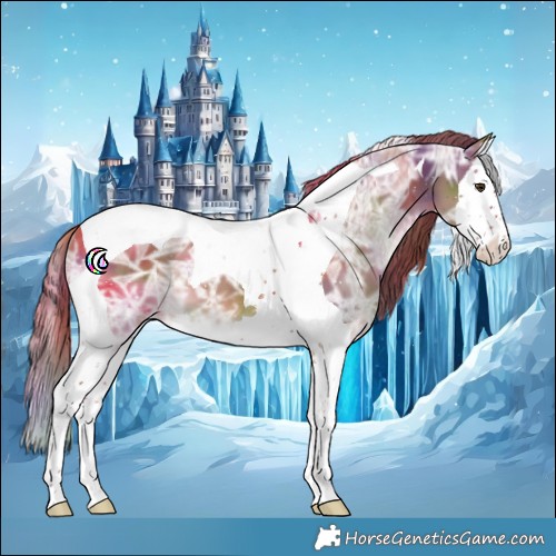 Horse Color:Nacre Chestnut Ice Splash Tobiano 