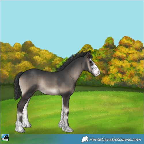 Horse Color:Blue Onyx Sabino Rabicano Brindle 