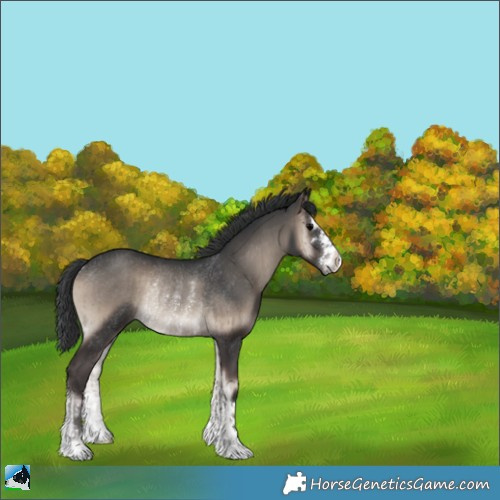Horse Color:Blue Onyx Rabicano Brindle 