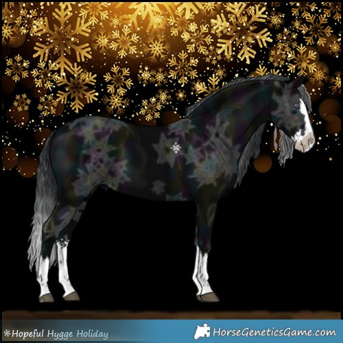 Horse Color:Midnight Black Chinchilla Ice Splash 