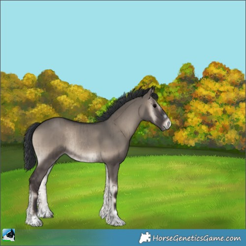 Horse Color:Grullo Onyx Rabicano Brindle 
