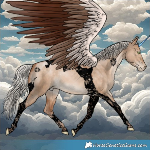 Horse Color:Void Silver Brown Pearl Dun Tobiano 