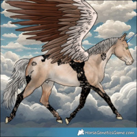 Horse Color:Void Silver Brown Pearl Dun Tobiano 