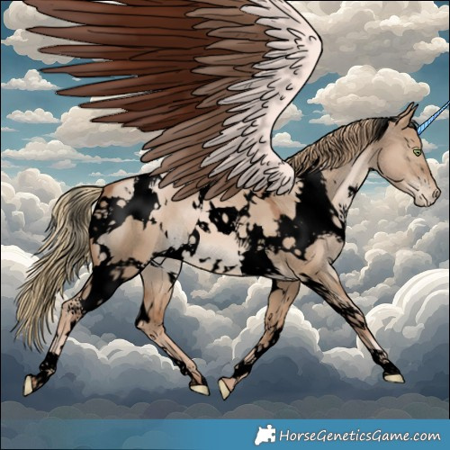 Horse Color:Void White Spotted Liver Red Dun Pearl