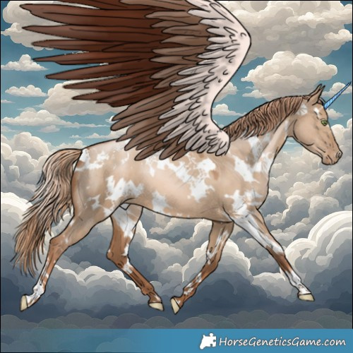 Horse Color:White Spotted Liver Red Dun Pearl 