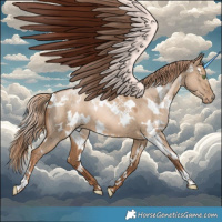 Horse Color:White Spotted Liver Red Dun Pearl 