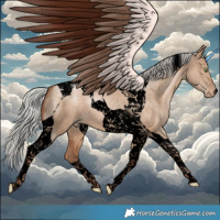 Horse Color:Void Silver Brown Pearl Dun Tobiano 