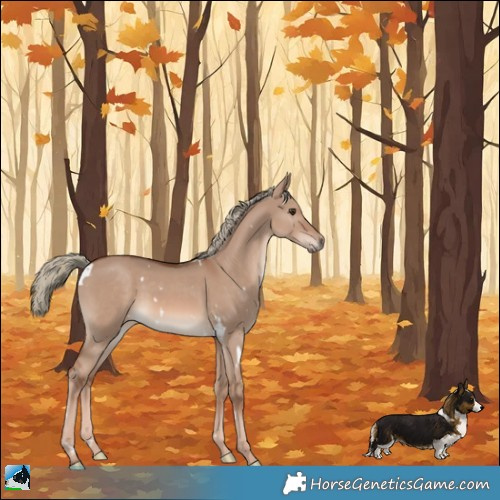 Horse Color:White Spotted Red Dun Mushroom 