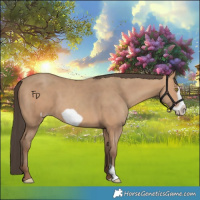 Horse Color:Amber Champagne Frame 