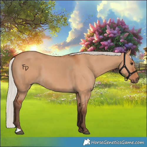 Horse Color:Silver Bay Dun 