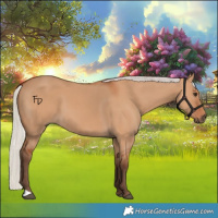 Horse Color:Silver Bay Dun 