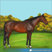 Horse Color:Brown 