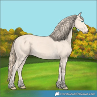 Horse Color:Perlino 