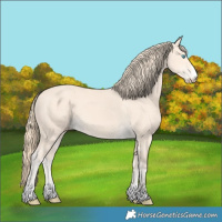 Horse Color:Perlino 