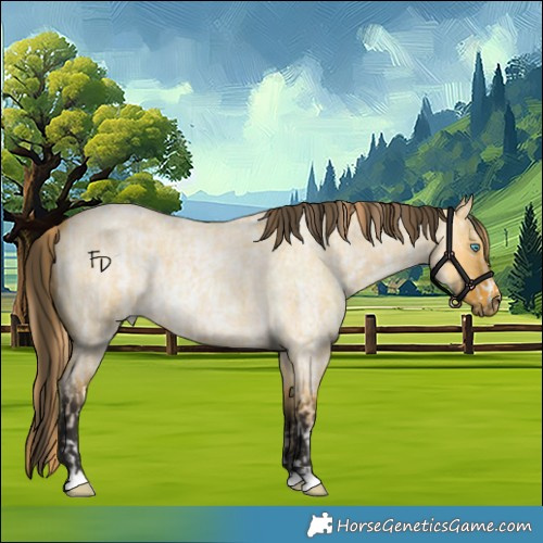 Horse Color:Powder White Buckskin Roan Pearl Dun  and Buckskin Roan Dun 