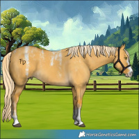Horse Color:Powder White Palomino Dun 