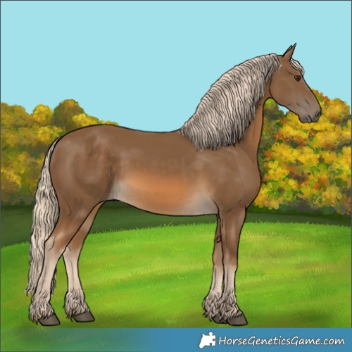 Horse Color:Chocolate Palomino 
