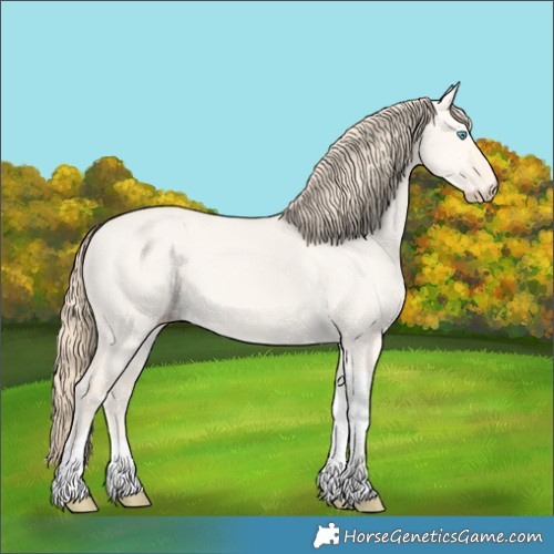 Horse Color:Perlino Dun Tobiano 